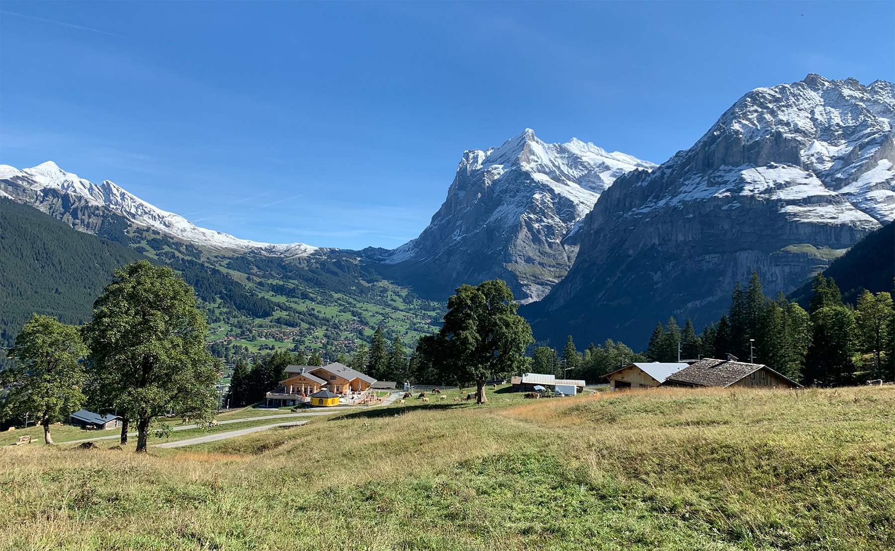 Jungfrau Region, Day 1 &#8211; 4 Day Breathtaking Hike Trip Interlaken, Grindelwald, Lauterbrunnen Circular &#8211; Jungfrau Region, Switzerland, Welsh Man Walking
