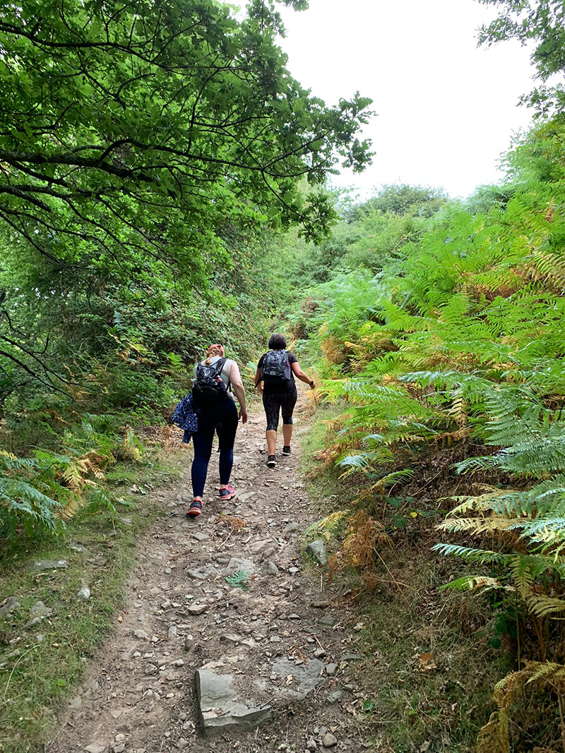 St Mary's Vale Wood, Sugar Loaf, Abergavenny &#8211; Up St Mary&#8217;s Vale Wood, Down Deri Allt Valley, Welsh Man Walking